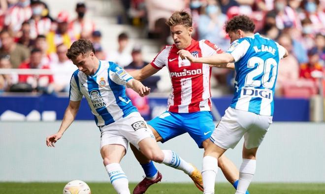 策中的重要 策中的重要