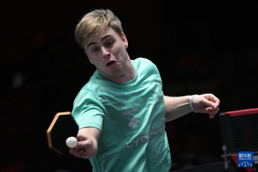 面比例的P 面比例的P